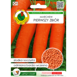 Морковь Первый сбор гран. 300шт.(семена) "PNOS" *Р